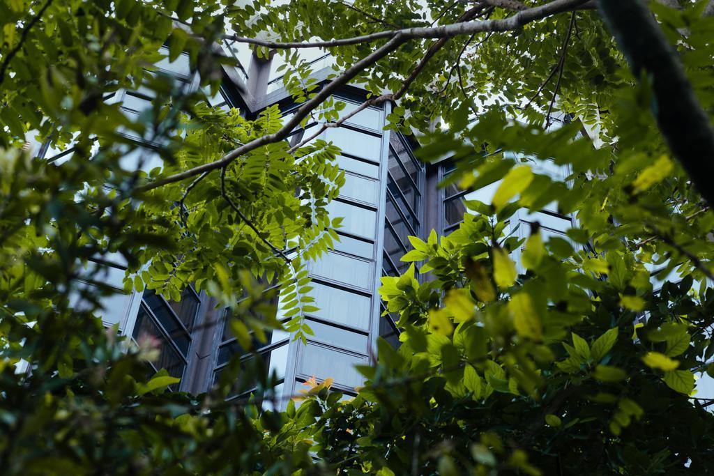 Primacy Apart Hotel Mar del Plata Dış mekan fotoğraf